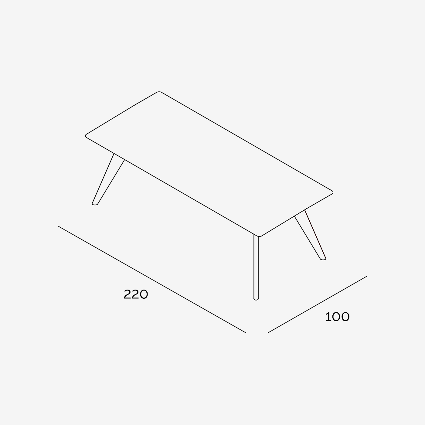 Esstisch Hielke 220x100 cm technische Zeichnung